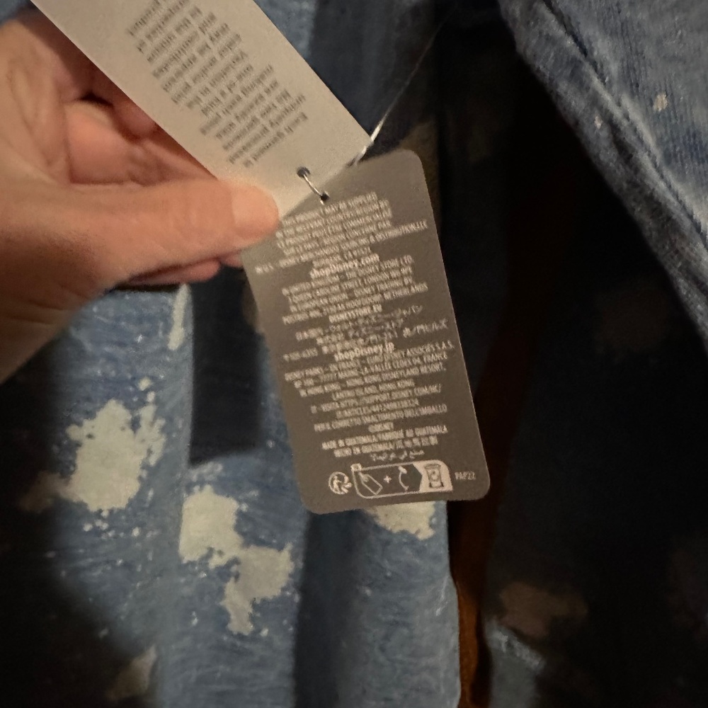 Disneyland Unisex Spirit Jersey